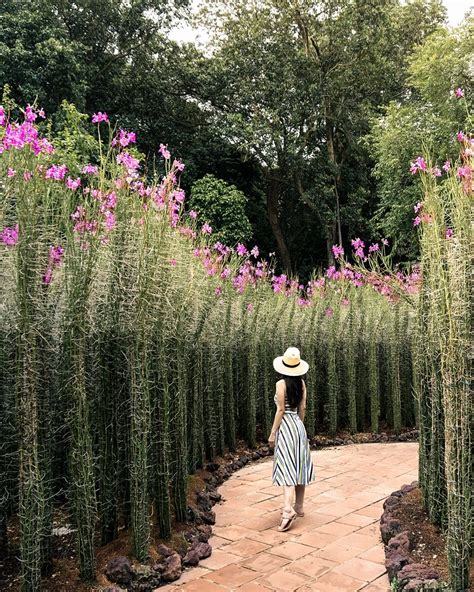 Why You Should Visit the Singapore Botanic Gardens - Travel In Our Eyes