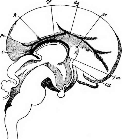 The Upside Of Stress Communicating Science 2017 Section 211