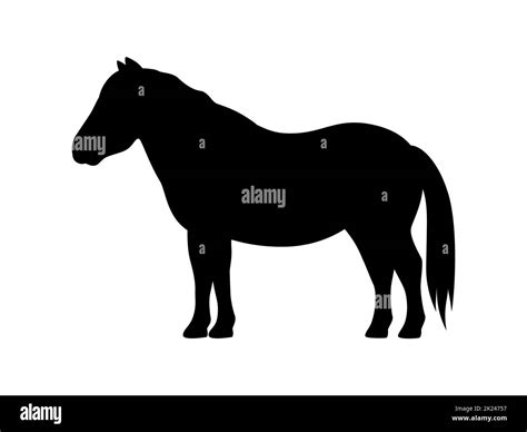 Pony Silhouette Vector Illustration Of A Black Silhouette Of A