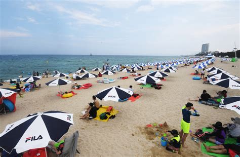 “반갑다 여름아”동해안 해수욕장 본격 개장 국민일보