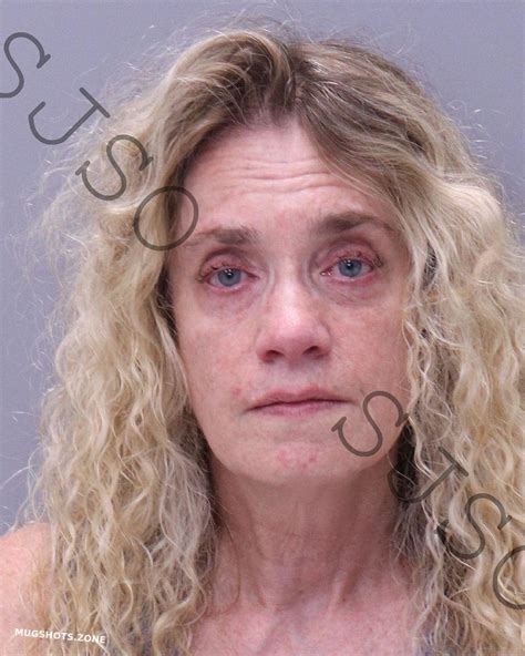 Gallagher Maureen Frances St Johns County Mugshots Zone