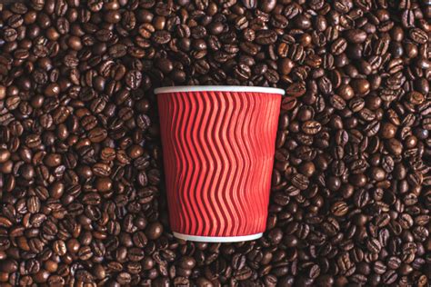 Coffee Cup Recycling In Australia Everything You Need To Know