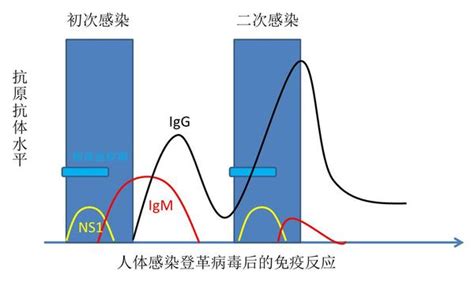 临床上是怎么诊断登革热的？ 知乎