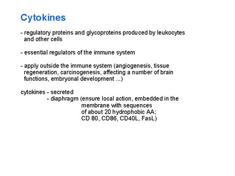 Basophils And Mast Cells And Their Importance In