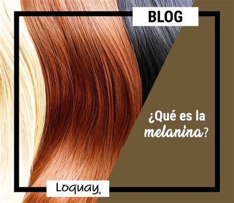 Qué Es La Melanina Melanina Colorimetria Cabello Cabello