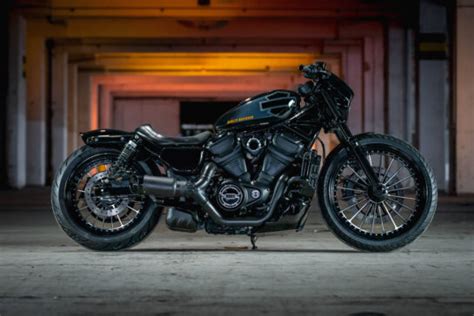 Harley Davidson Nightster • Thunderbike Customs Gallery