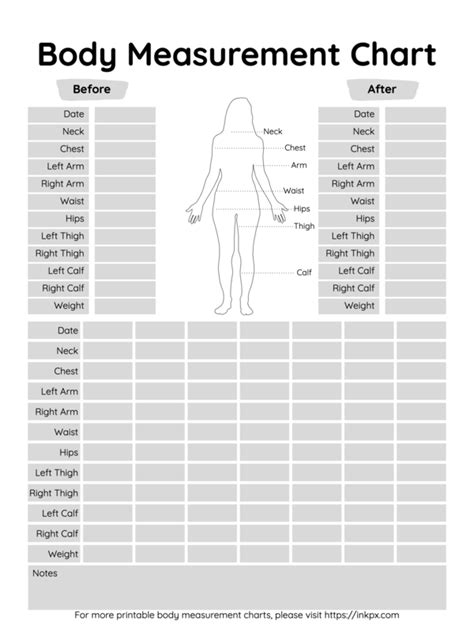 Free Printable Body Measurement Charts in PDF, PNG, and JPG Formats · InkPx