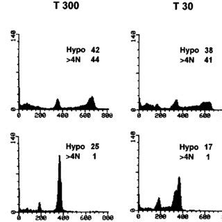 DNA Distribution In Rapamycin Pre Treated Cells Exposed To Taxol