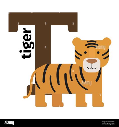 Inglés animales zoológico alfabeto con la letra T Tiger vector