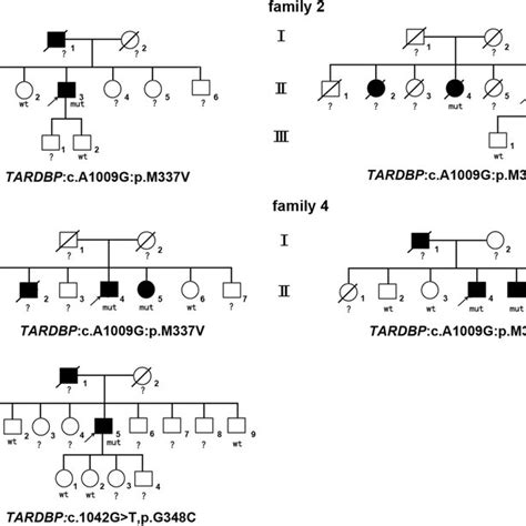 Clinical Features And Gene Mutation Results Of The Als Families