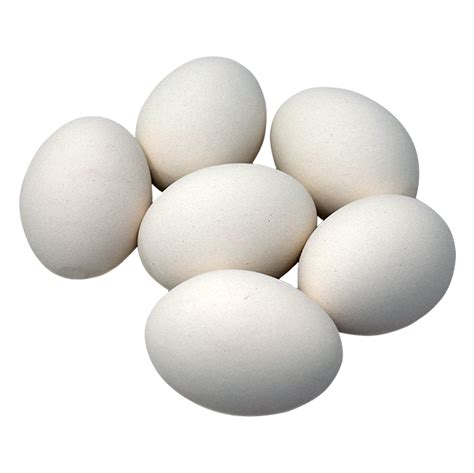 Ceramic Nest Eggs 6 Pack Cackle Hatchery®