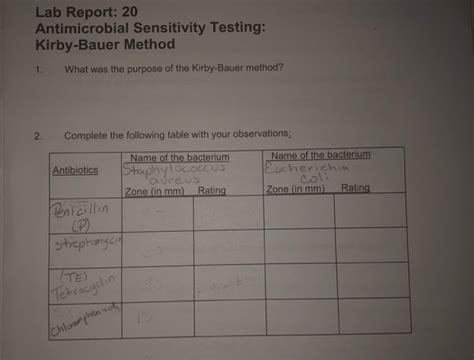 Lab Report Antimicrobial Sensitivity Testing Chegg