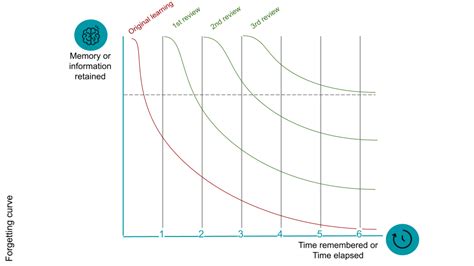 The Forgetting Curve | Why We Forget and How to Remember