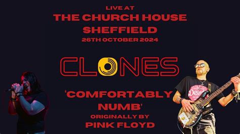 Comfortably Numb Live At The Church House 26th October 2024 YouTube