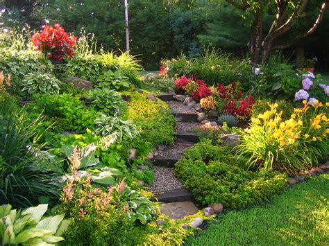 Vegetable Garden Overgrown With Weeds | Fasci Garden