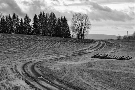 Black & White - Way in the Winter Landscape | Copyright-free photo (by ...