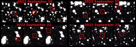 Groundbreaking Algorithm Successfully Identifies First 'Potentially ...