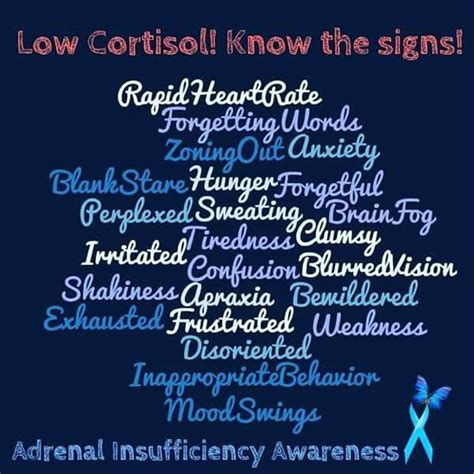 signs   cortisol addisons disease adrenal fatigue symptoms