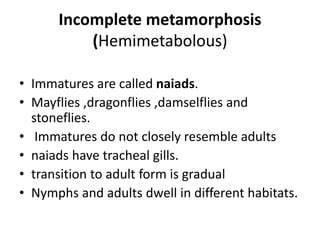 Difference Between Ametabolous And Hemimetabolous Compare, 49% OFF