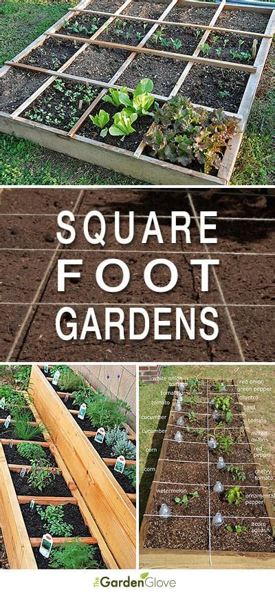 Easy Steps To Square Foot Garden Success The Garden Glove