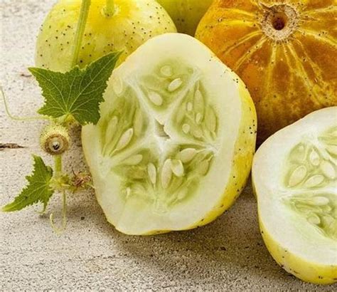 Lemon Cucumber 50 Thru 14lb Seeds Unique Canning Heirloom Rare