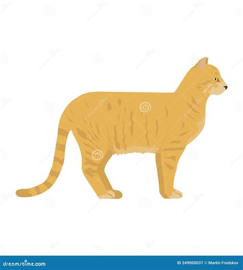 Felis Catus Domestic Cat Orange Tabby Side View Flat Vector