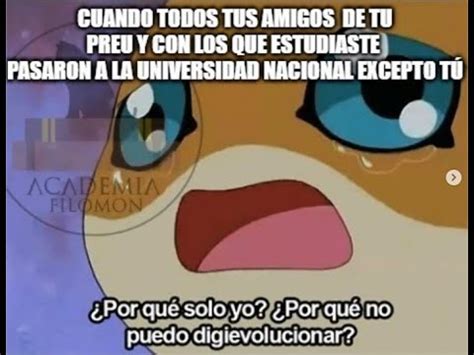 Por qué todos pasan a la UNAL y tú no preuniversitario unal