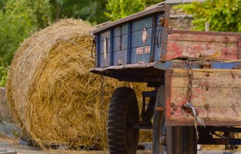 Esonero Contributivo Per I Coltivatori Diretti E Imprenditori Agricoli