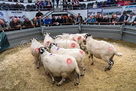 Hutchinson Photography Images Of Agriculture And Rural Life Sale Of