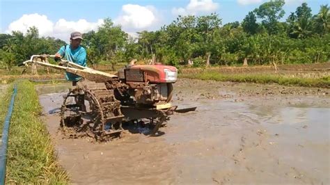 Traktor Sawah Proses Gelebeg Garu Tanah Ll Traktor Quick Zeva G3000