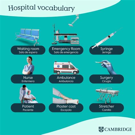 Hospital Vocabulary Vocabulario Medico Vocabulario En Ingles Hospitales