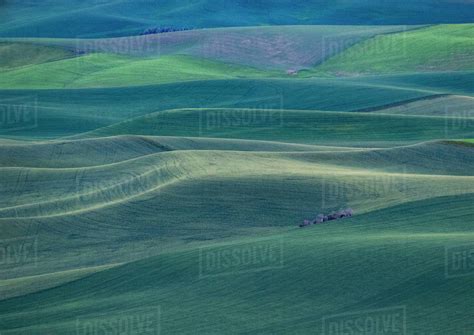 USA Washington State Palouse And Steptoe Butte State Park View Of