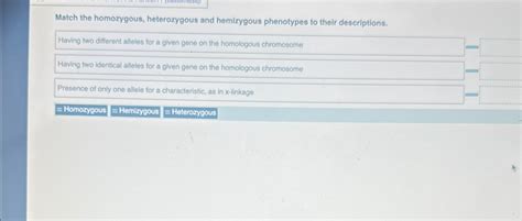 Solved Match the homozygous, heterozygous and hemizygous | Chegg.com