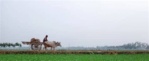 Bangladesh-village - Deshghuri - Explore Authentic Bangladesh Tours & Travel Packages