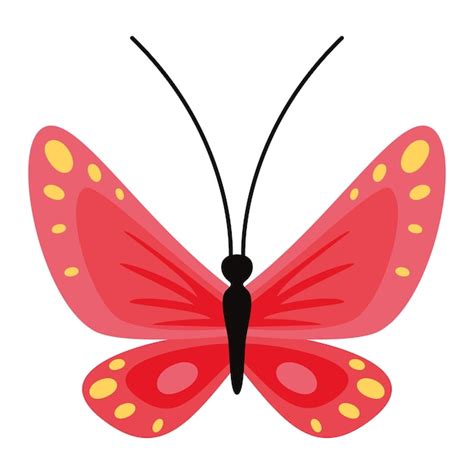 Dibujo Plano De Una Mariposa Vector Premium