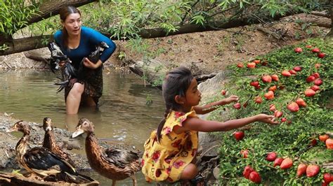 Top Survival Skills Found Catch Duck And Pick Natural Fruit At River