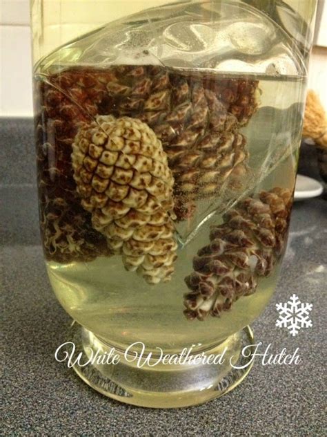 White Weathered Hutch Bleaching Pine Cones Diy