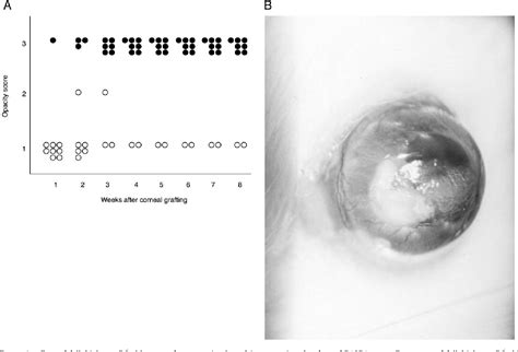 Figure From Cd Ligand Expression On Corneal Epithelium And