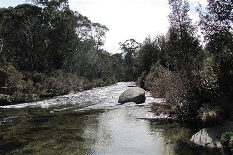 planning  governance  environmental flows water