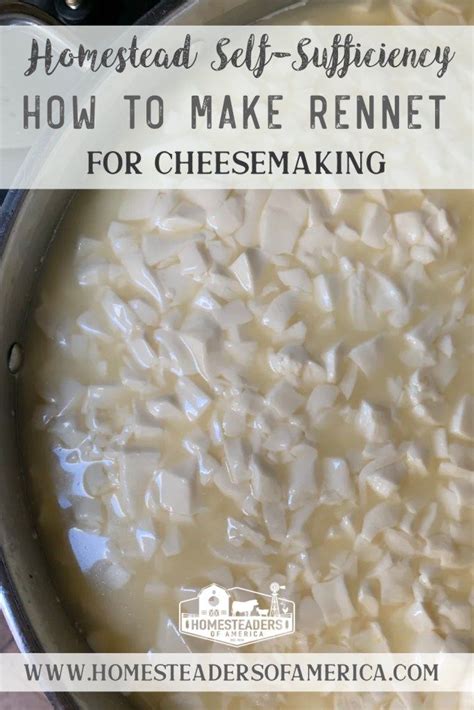 How To Make Rennet For Cheesemaking Homesteaders Of America Cheese Recipes Homemade Raw