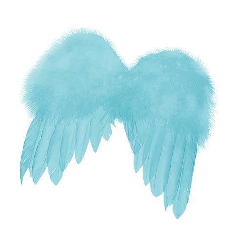 Feather Angels Angel wing - feather png download - 776*800 - Free ...