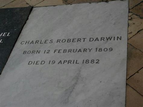 Charles Darwin's grave at Westminster Abbey | London england, London ...