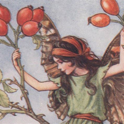 Flower Fairies The Willow Fairy Vintage Print C1930 By Cicely Etsy