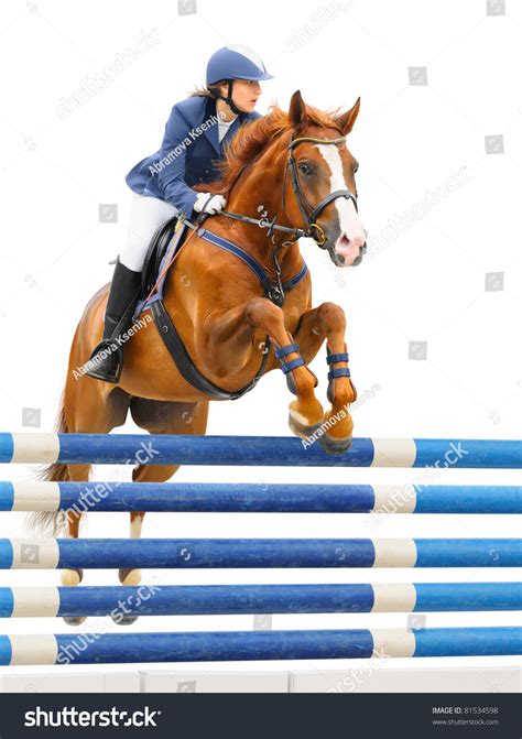 Horse Jumping White Background: Over 7,812 Royalty-Free Licensable ...