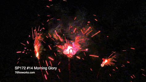 14 Morning Glory Sparklers Sky Bacon Youtube