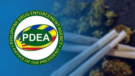 Pdea Destroys Over P72 B Worth Of Dangerous Drugs Precursor Chemicals