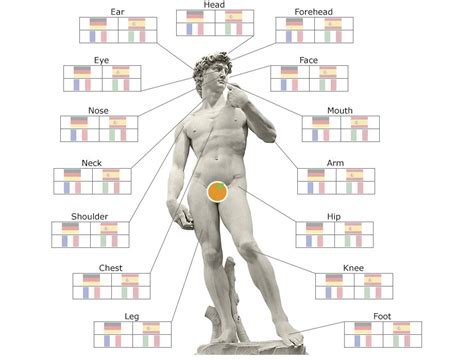 Spanish Body Parts Diagram