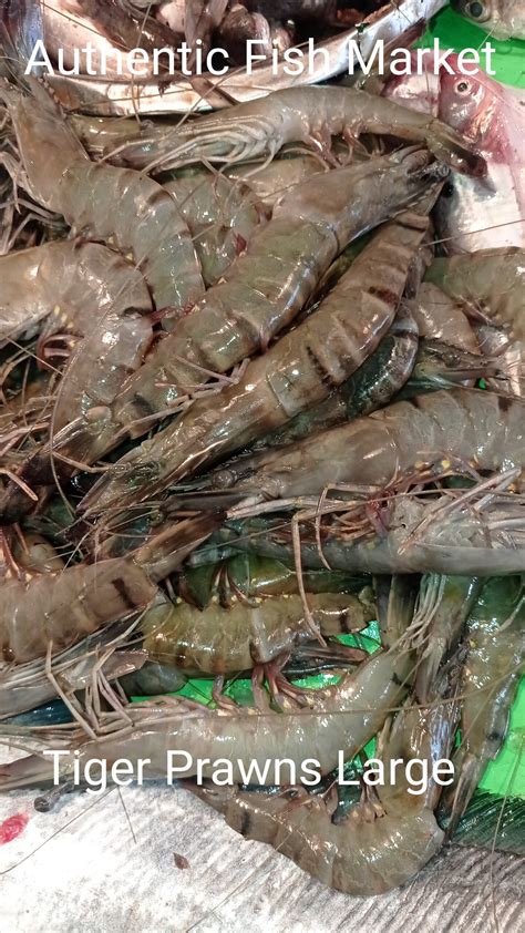 Fresh Tiger Prawn Largeবড় বাগদা চিংড়ি Authentic Fish Market