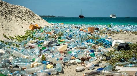 Wie Schadet Plastik Unserer Umwelt Media4Teens