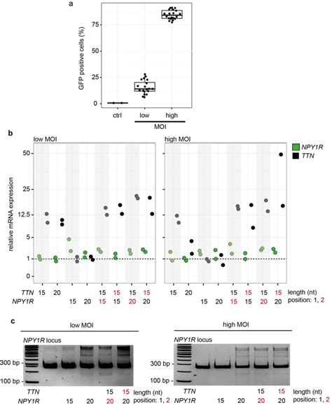 Simultaneous Activation And Orthogonal Gene Control Of Endogenous Genes